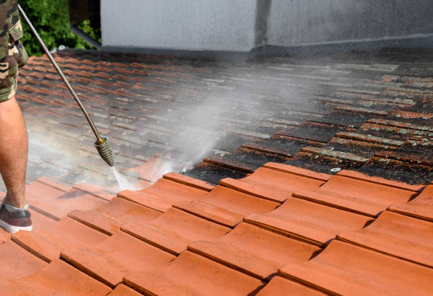Best Exterior Home Cleaning  in Thornton, CO