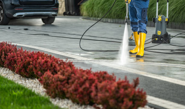 Best Fence Pressure Washing  in Thornton, CO