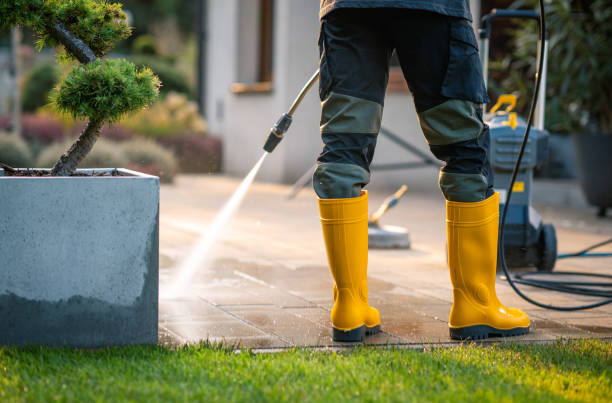Best Affordable Power Washing  in Thornton, CO